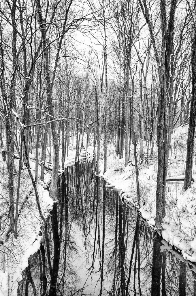 Mike Koenig - Winter Reflections